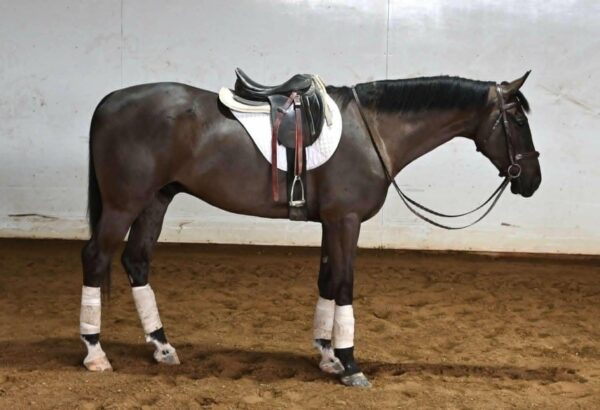 Spring Rock Blackout