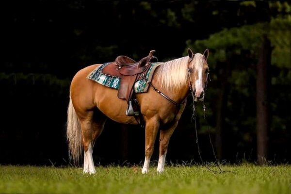 Cutter's Personality