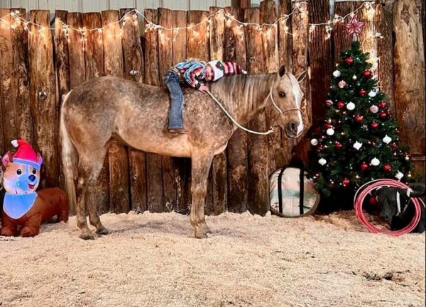 Ima Hollywood Hottie