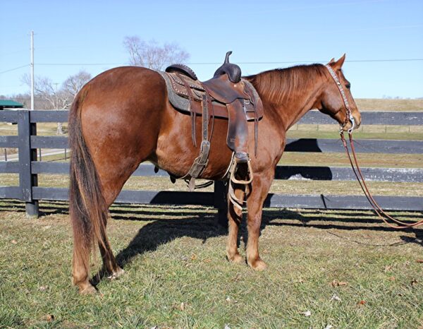 Doc's Alvarado Puddin