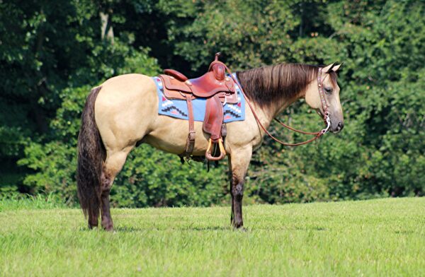 Jack Dunit At The Bar