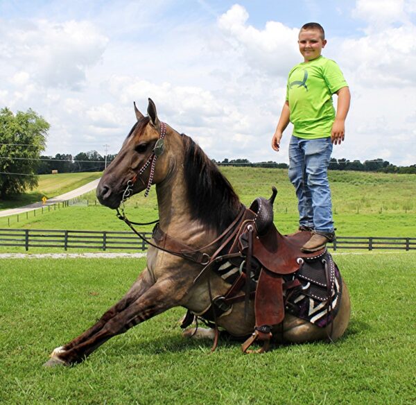 Smokey "The Wonder Horse"