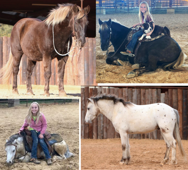 Popsicle or Prince (Buyer gets Choice of 1)